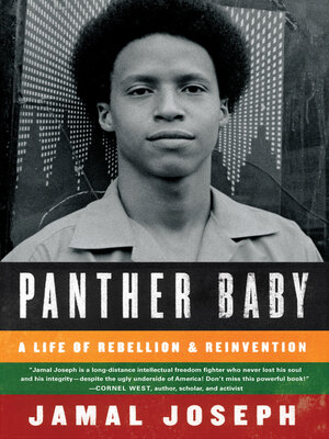cover image of Panther Baby